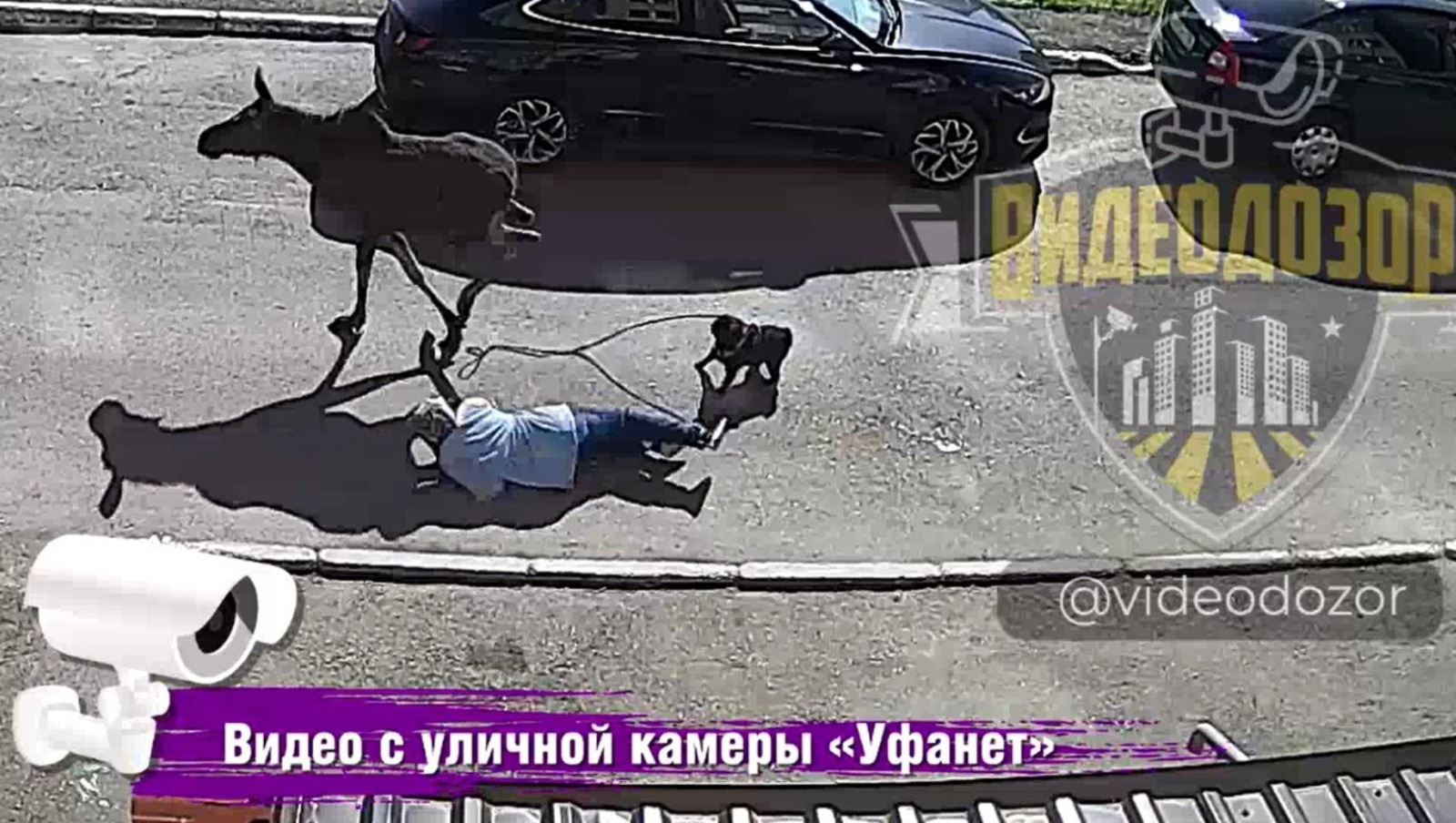 Видеодозор, камера Уфанет, телеграм