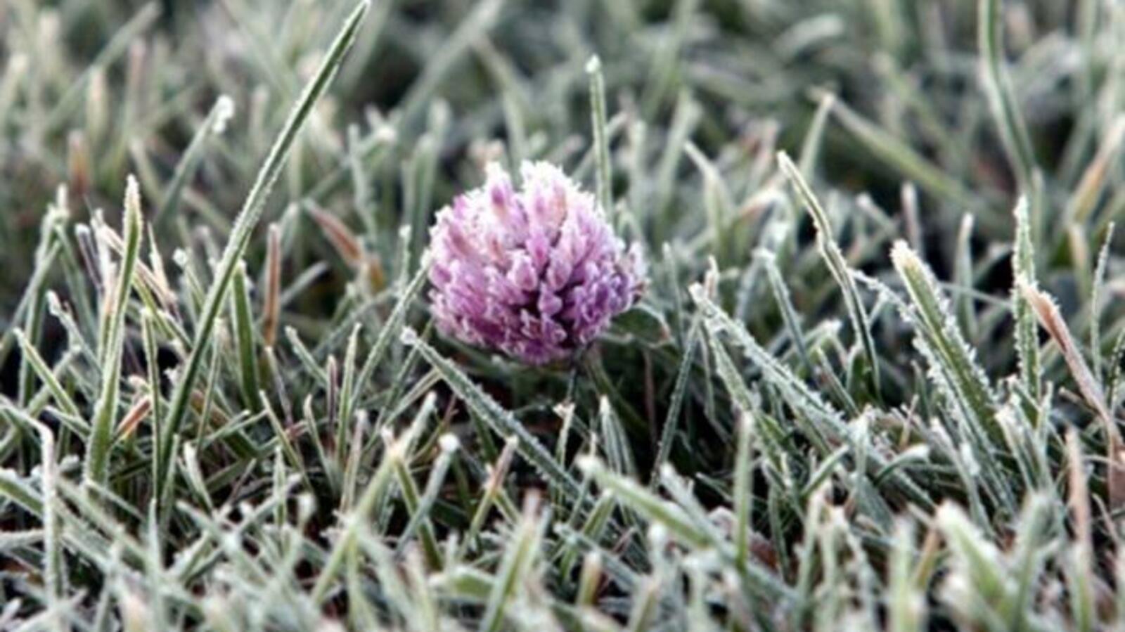 ИА «Башинформ»