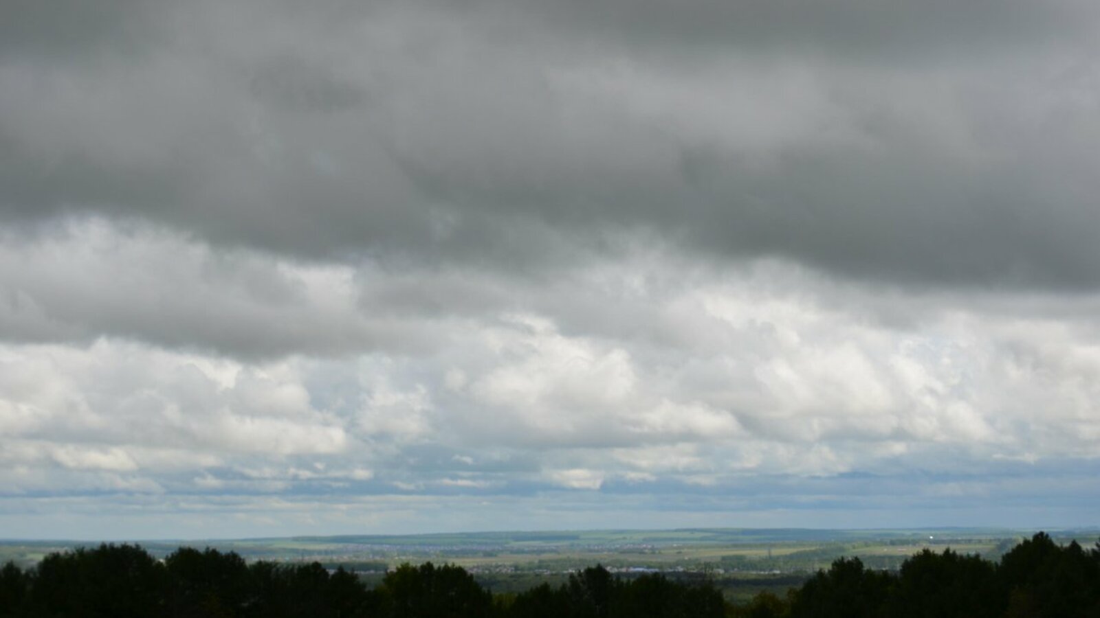 Ксения Калинина