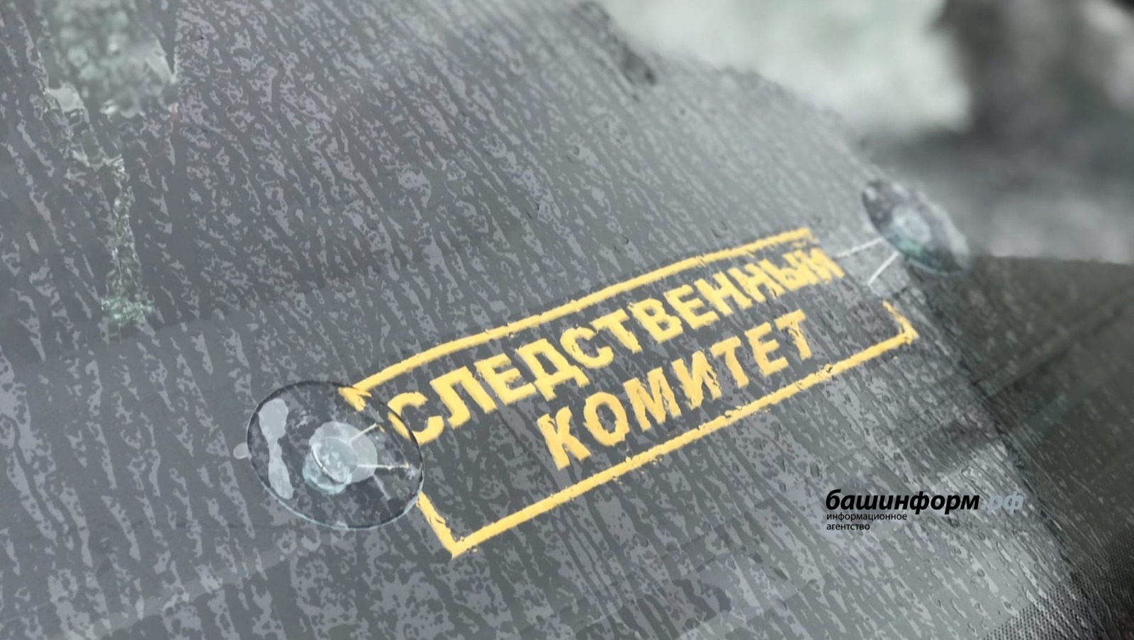 Ксения Калинина