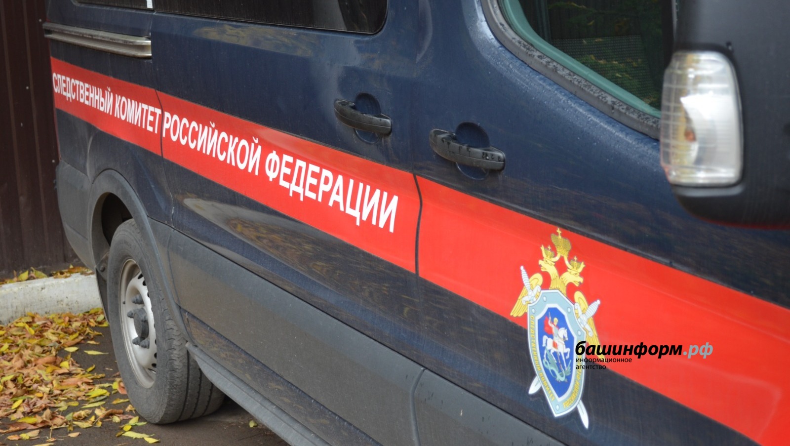 Ксения Калинина