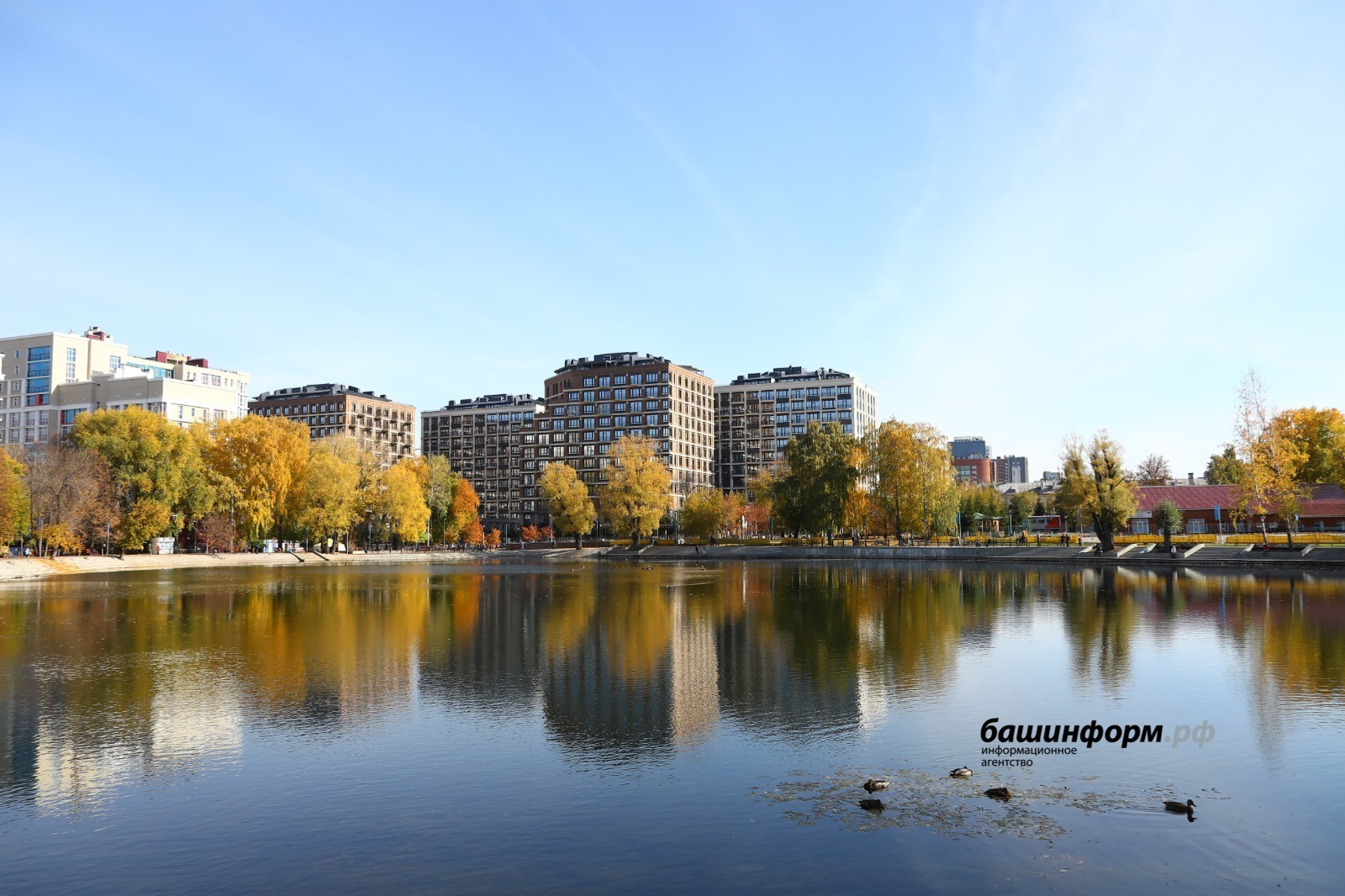 Валерий Шахов