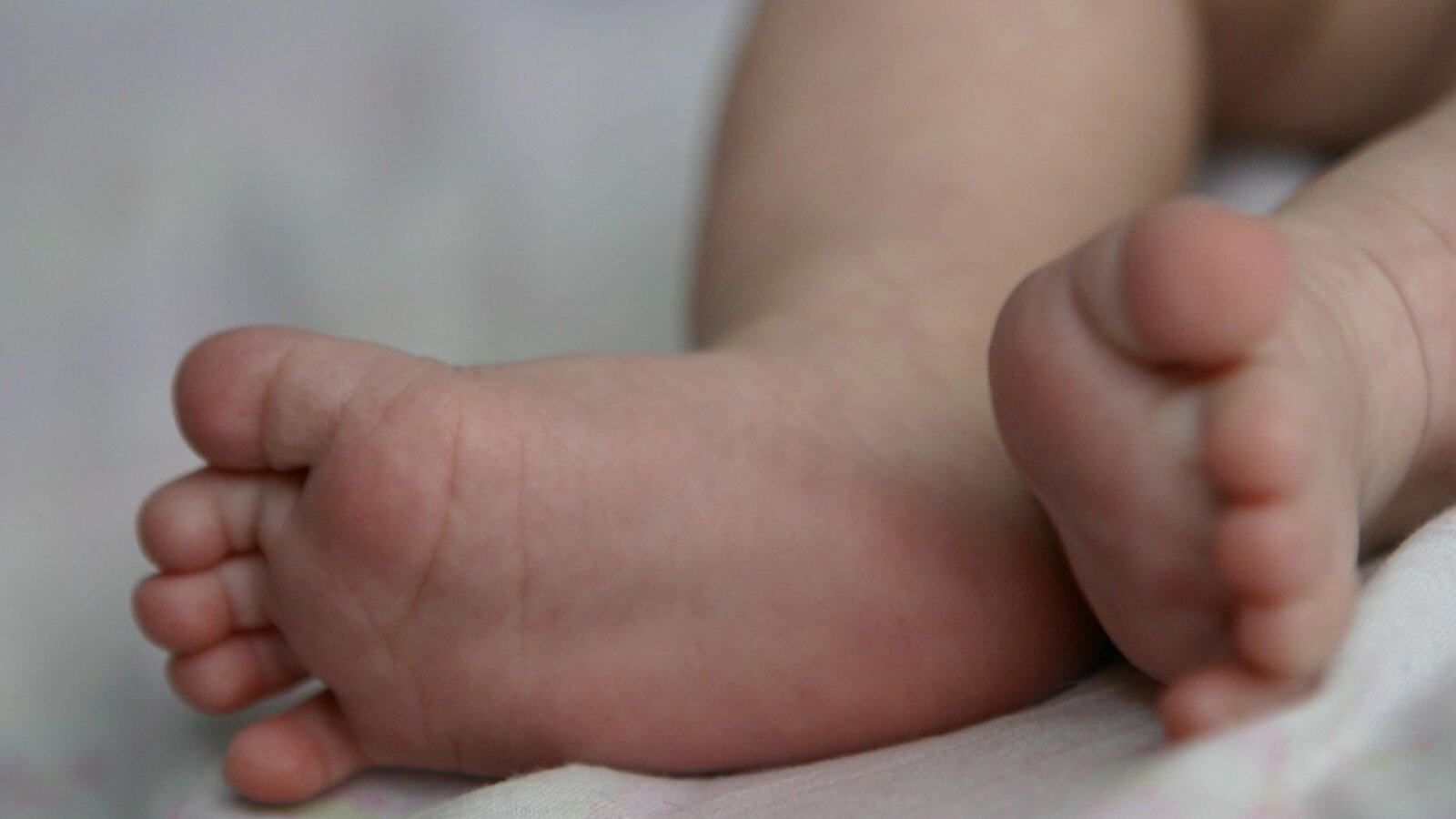 Андрей Старостин