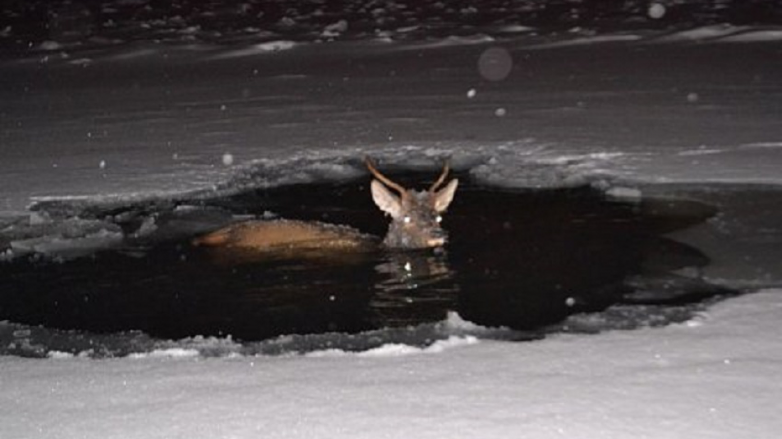 Минэкологии РБ