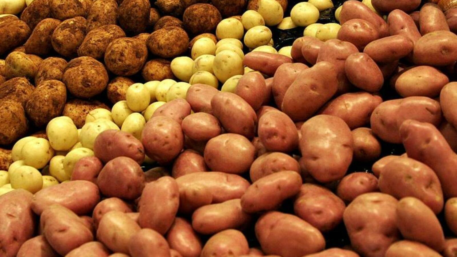 Минсельхоз РБ