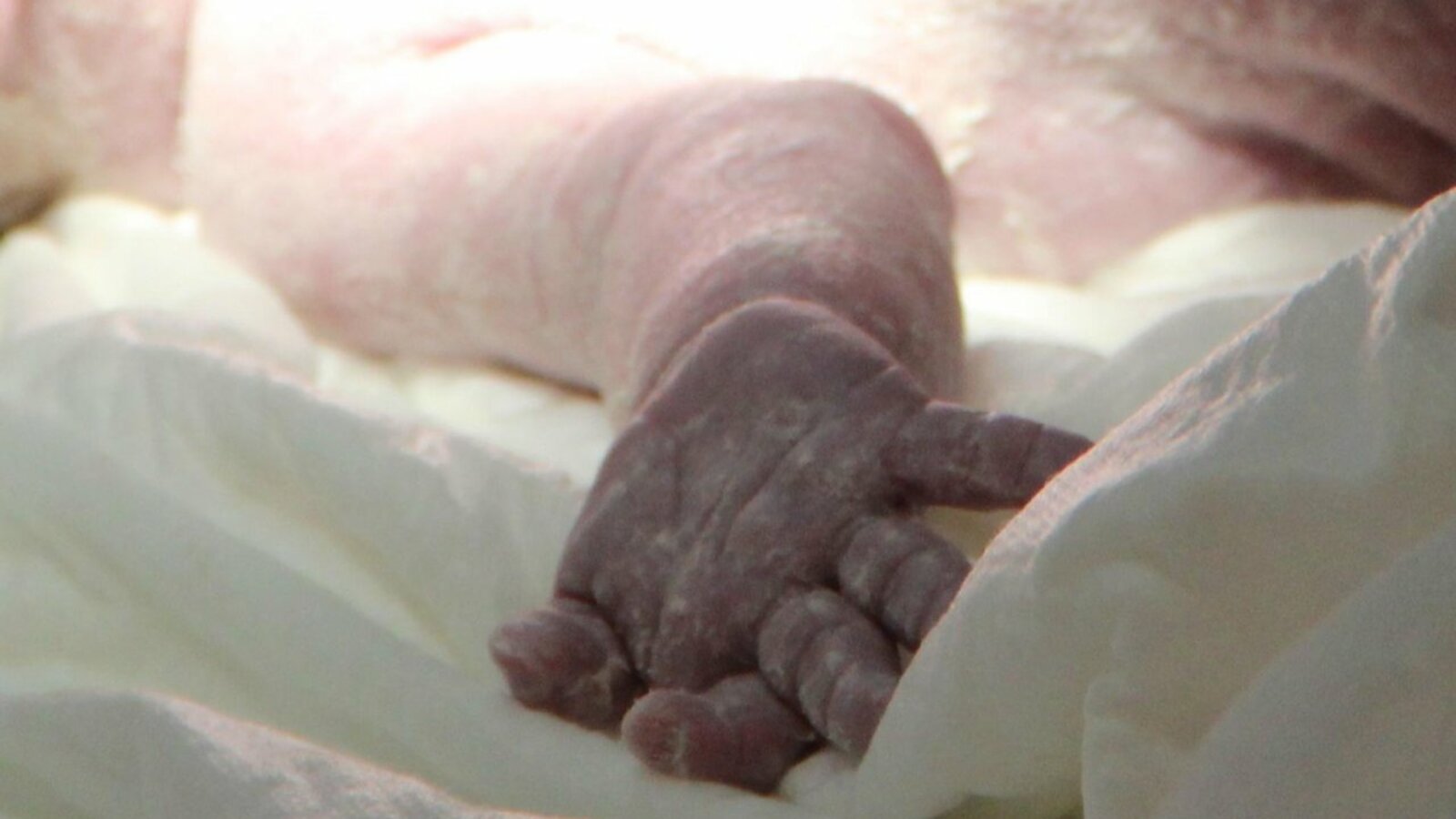 Ксения Калинина