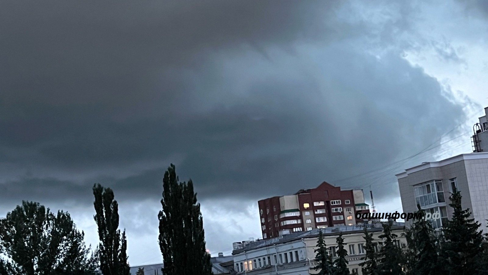 Ксения Калинина
