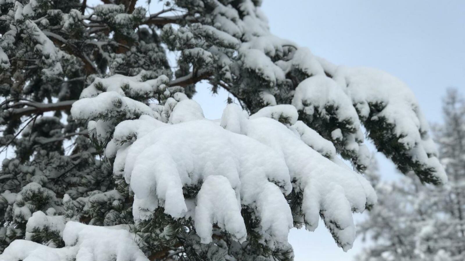 Ксения Калинина