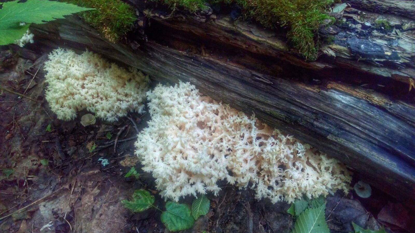 группа «Центр туризма и краеведения г. Салават», Vk