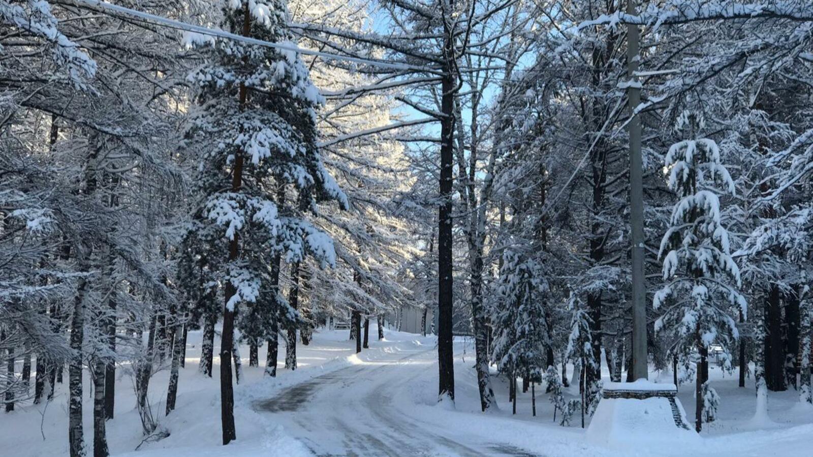 Ксения Калинина