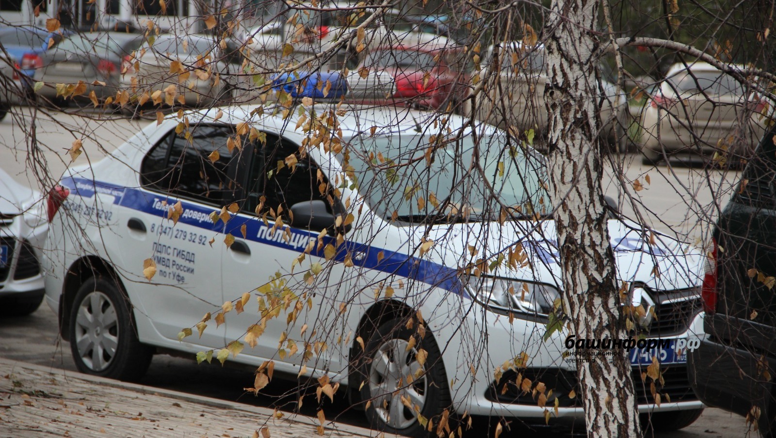 Ксения Калинина