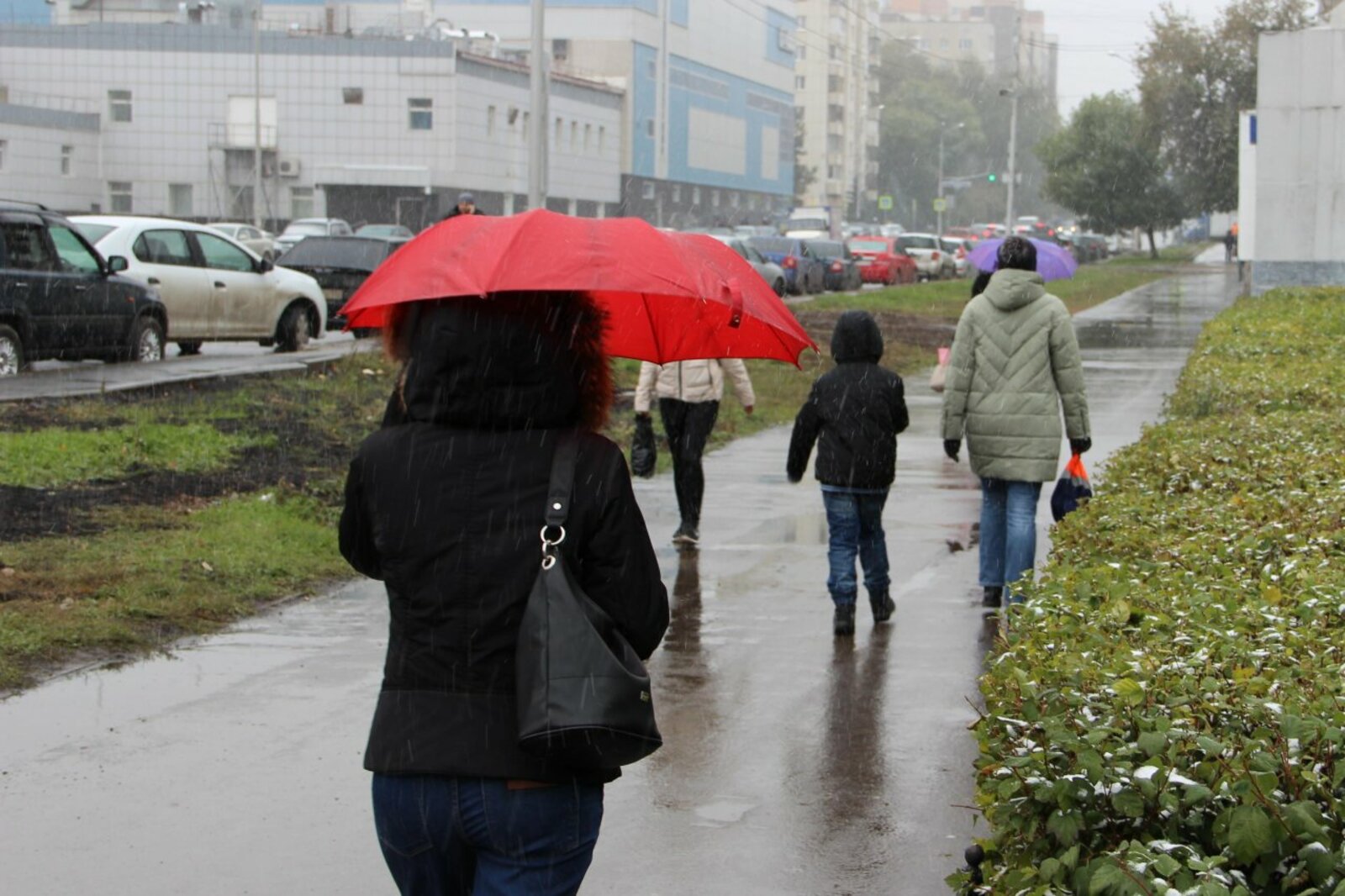 автор