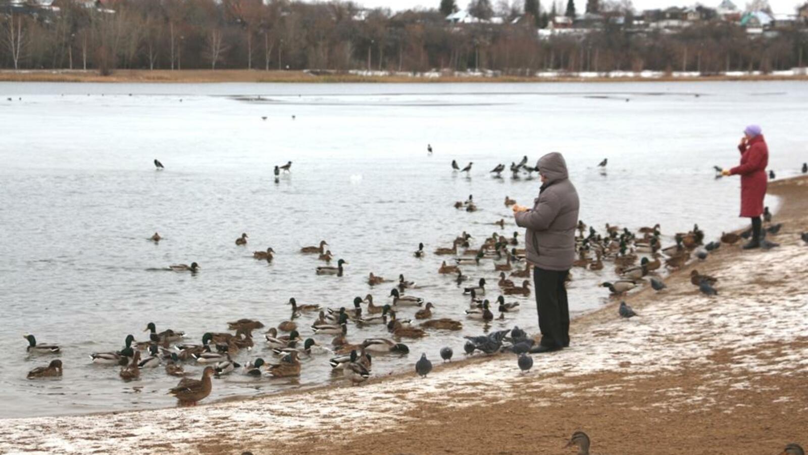 администрация Уфы