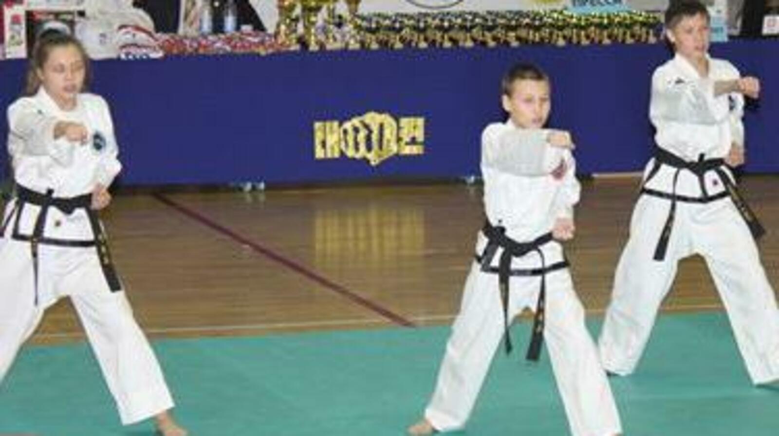 Федерация тхэквондо РБ