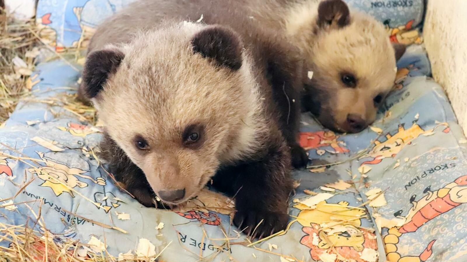 пресс-служба администрации Уфы