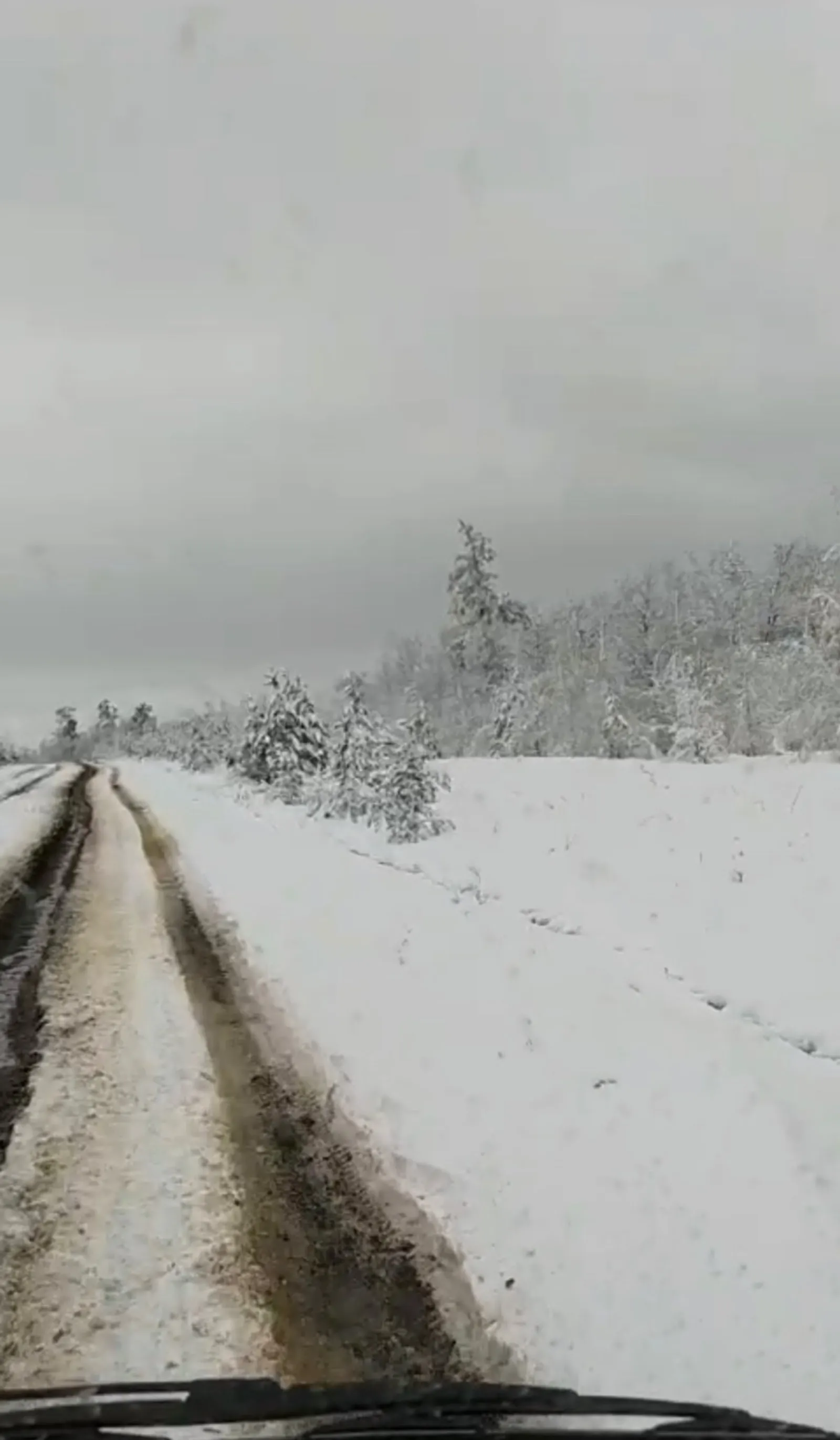 видеонан скриншот