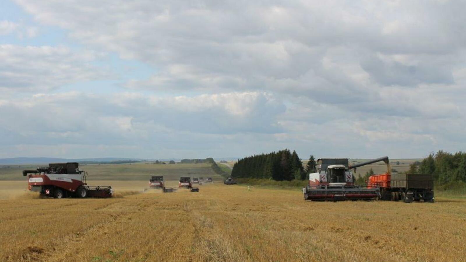 Минсельхоз РБ