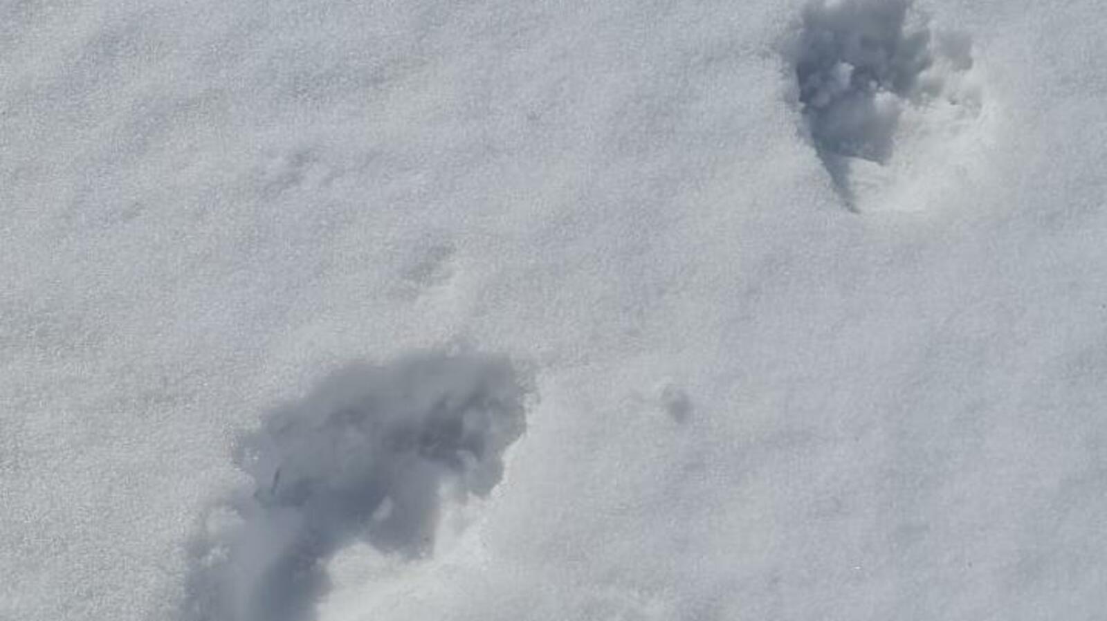 пресс-служба НП «Башкирия»