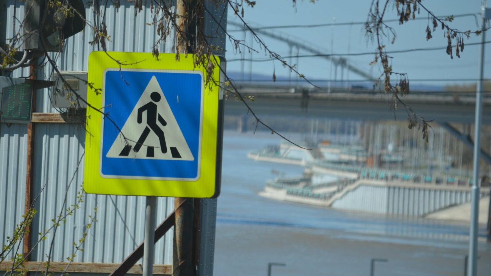 Ксения Калинина