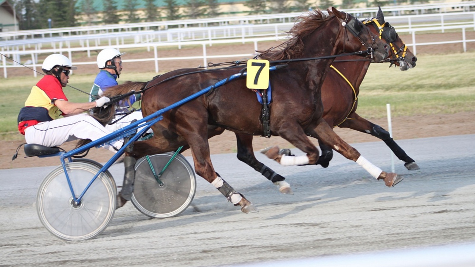 предоставлено ипподромом «Акбузат»