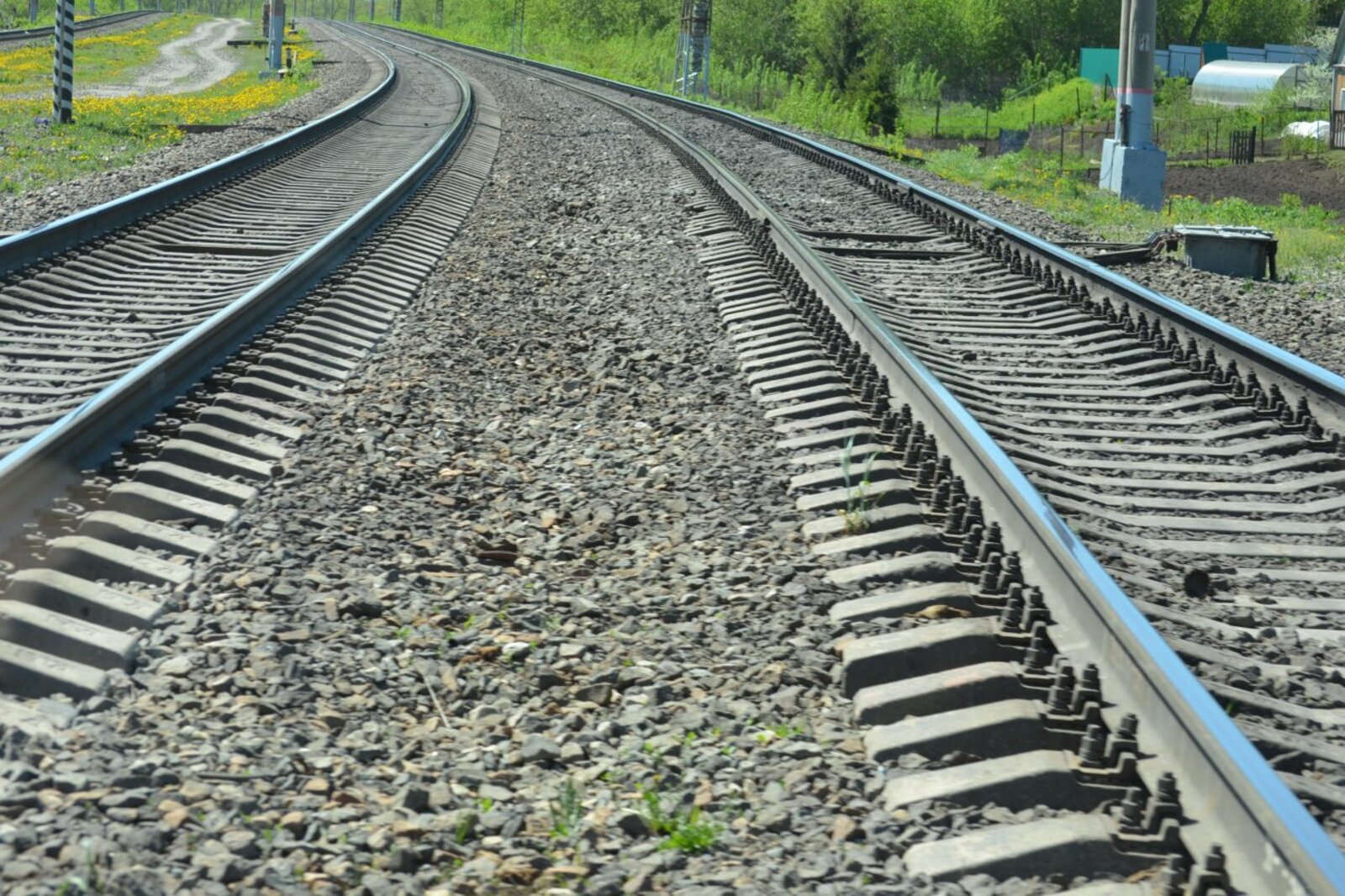 Ксения Калинина