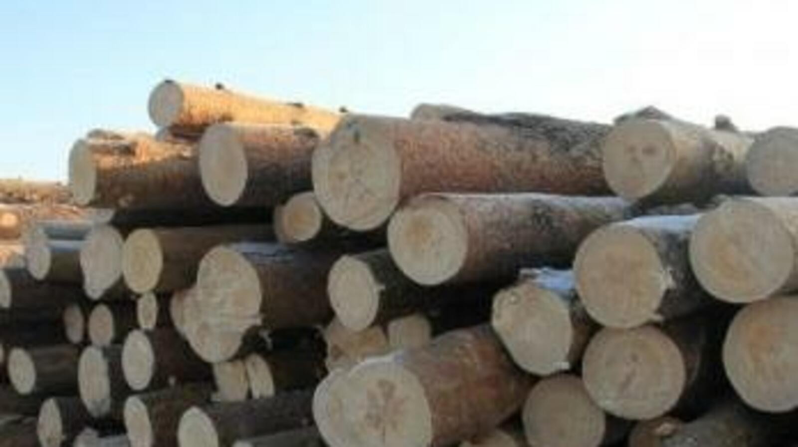 ИА «Башинформ»