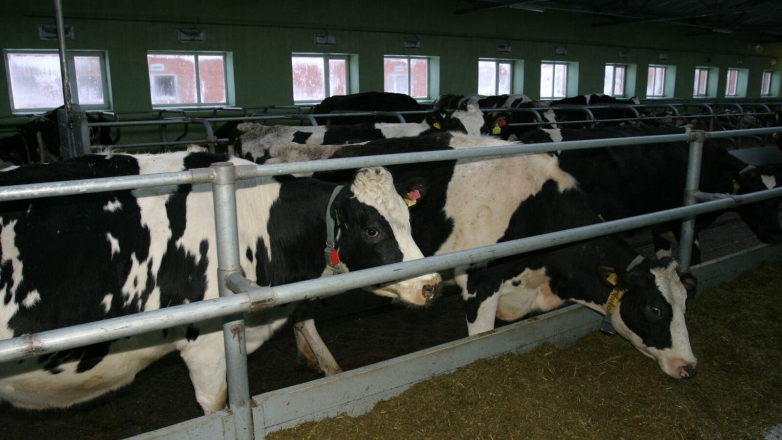 Олег Яровиков