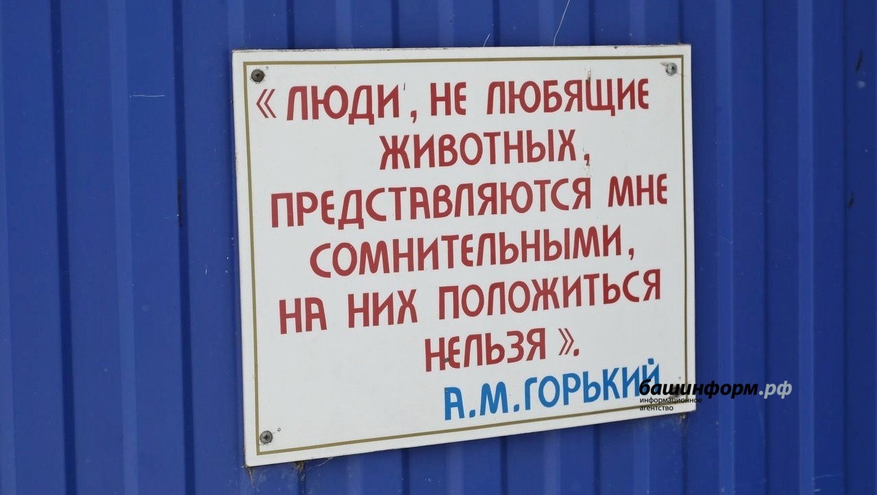 Валерий Шахов