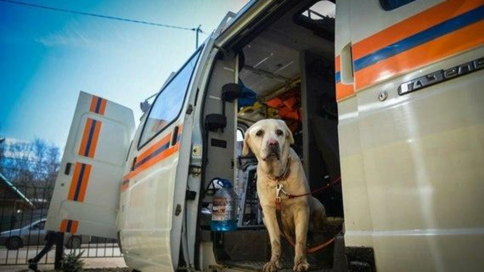 ИА «Башинформ»