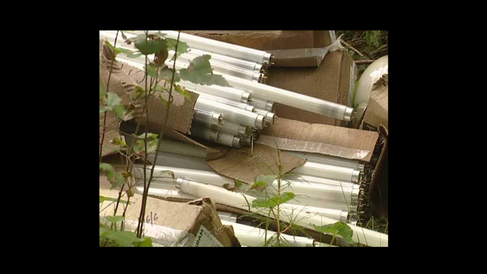 Минэкологии РБ