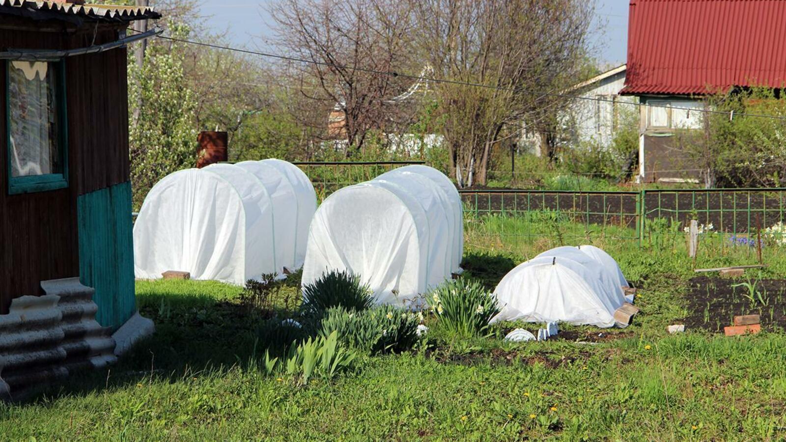 ИА «Башинформ»