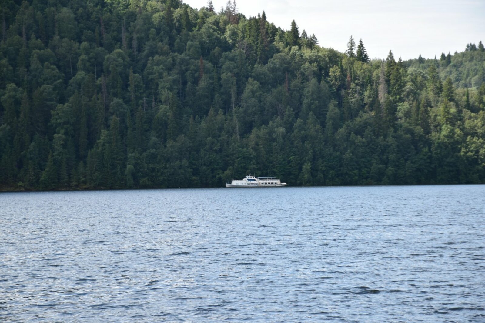 автор