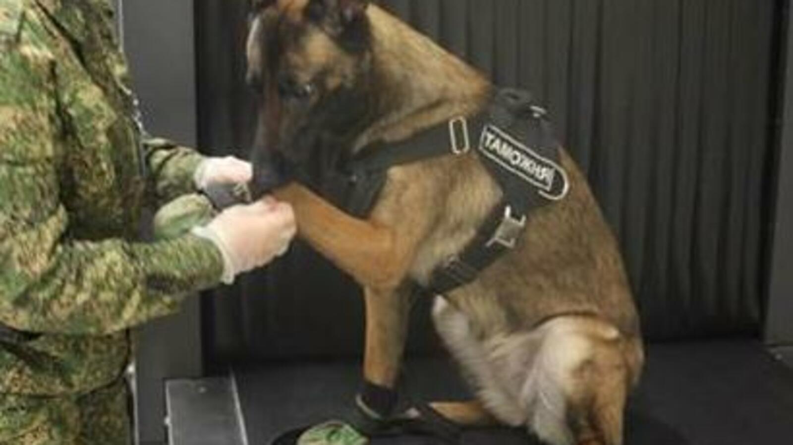 Башкортостанская таможня