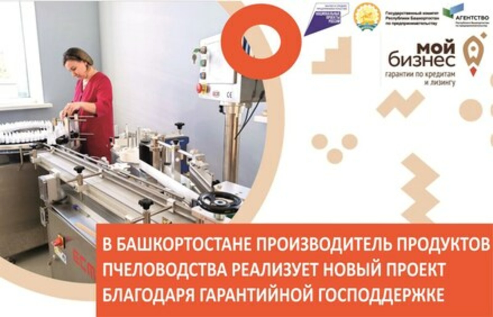 В Башкортостане производитель продуктов пчеловодства реализует новый проект благодаря гарантийной господдержке