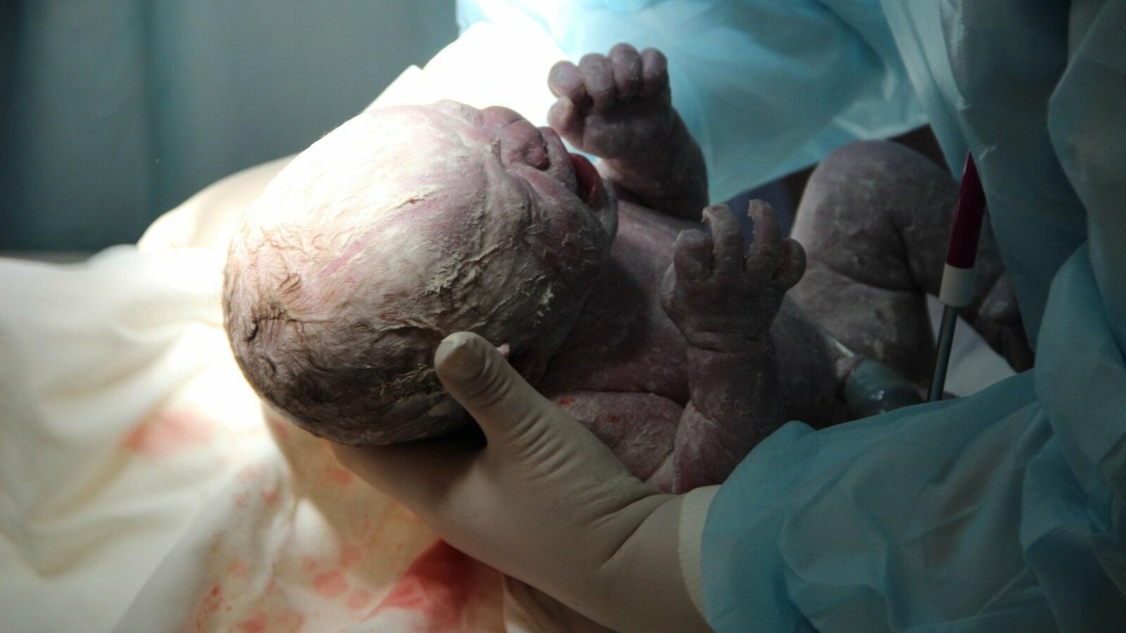 Ксения Калинина