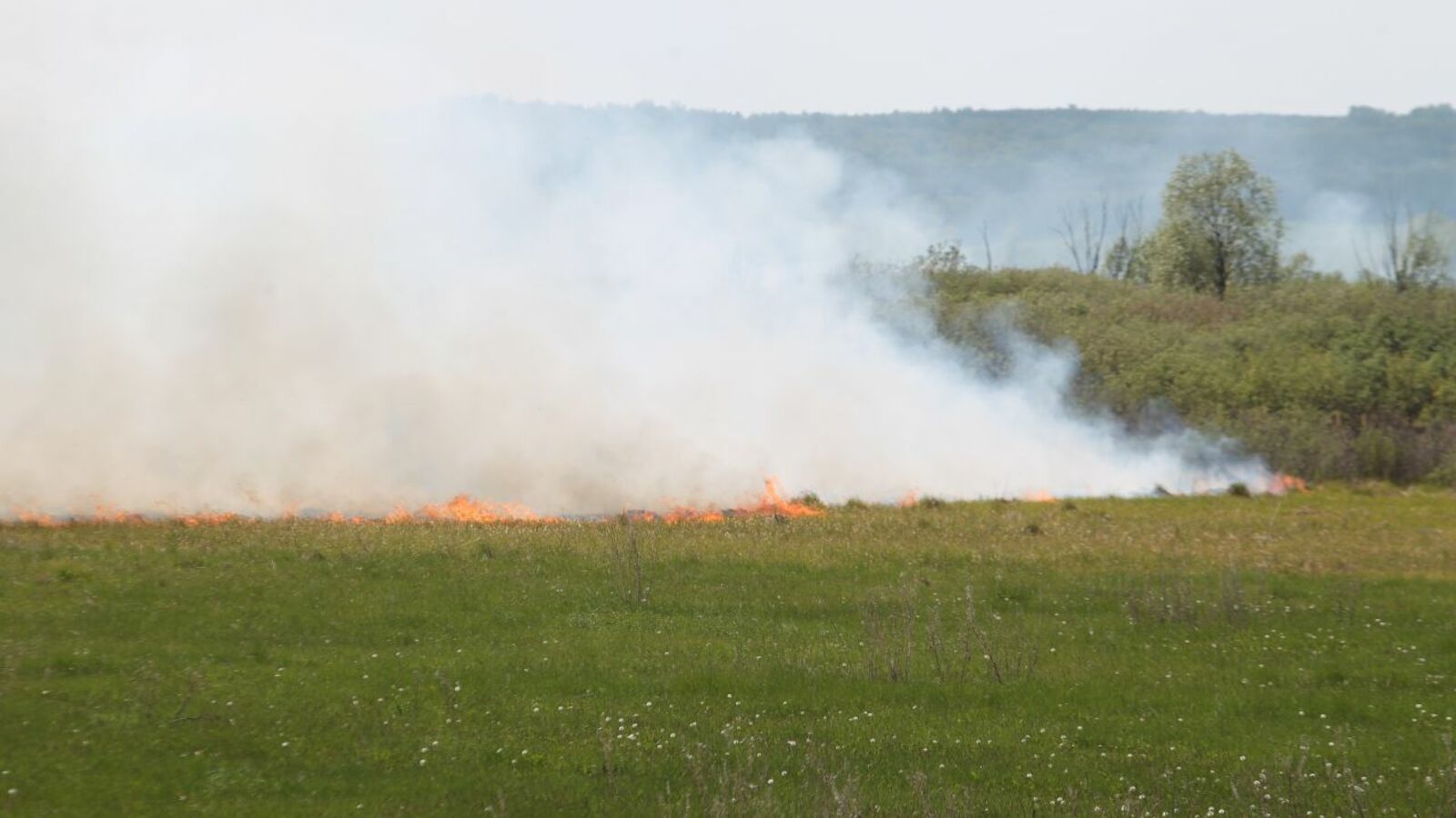 Георгий Шишкин