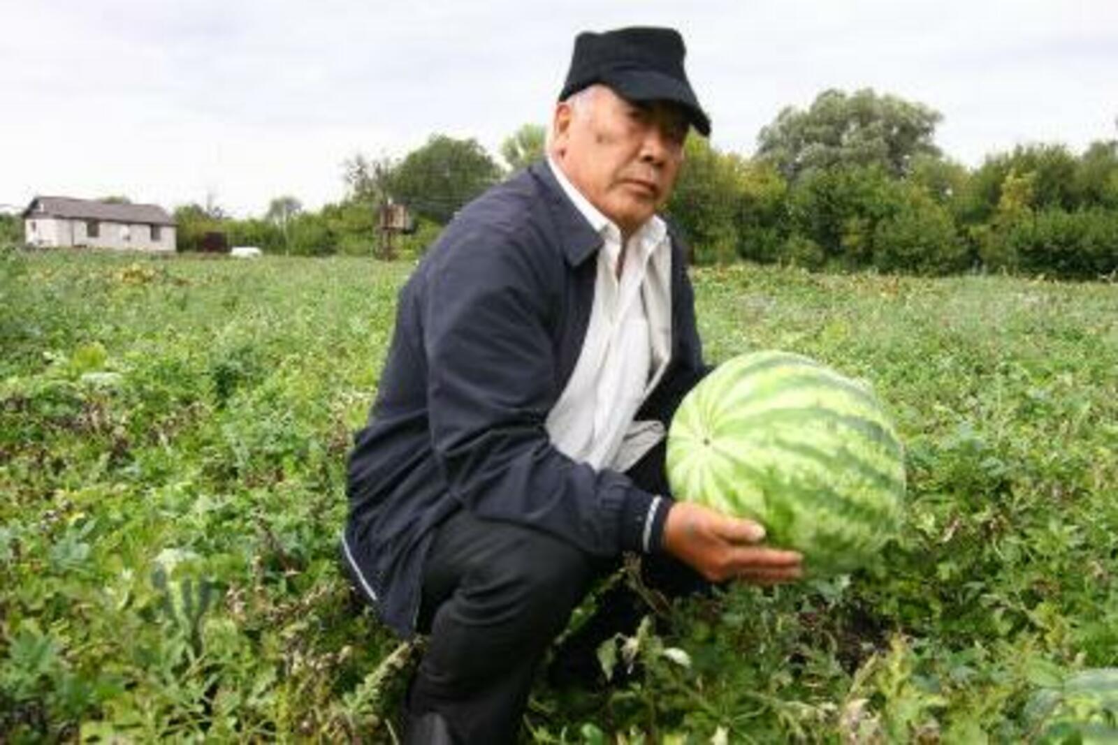 Валерий Шахов