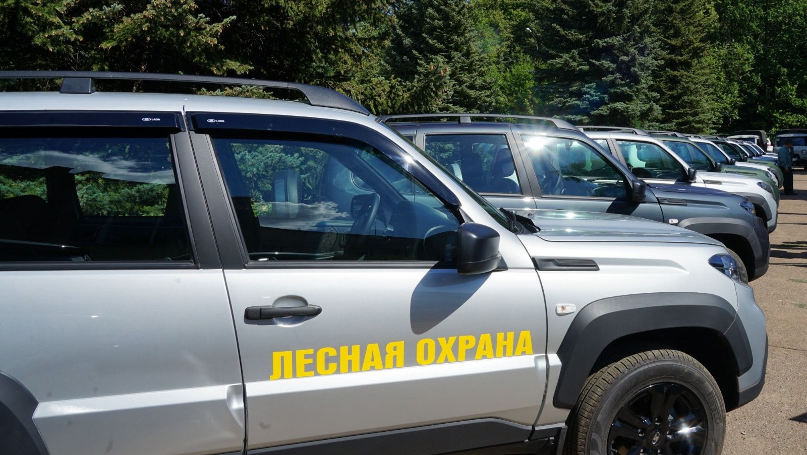 минлесхоз РБ