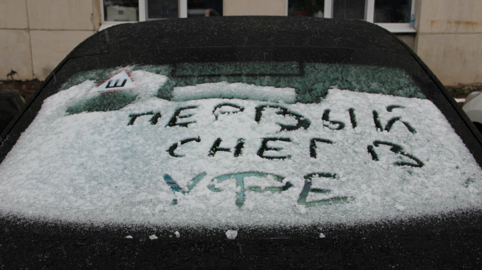 Ксения Калинина, Станислав Шахов