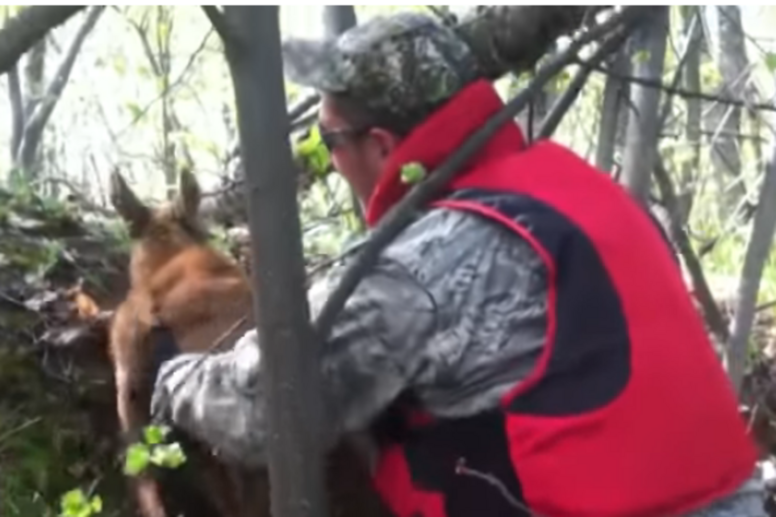 скриншот видео