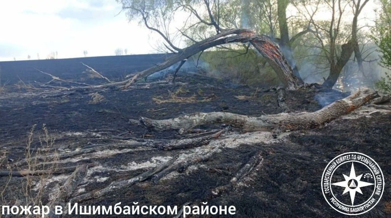 госкомитет РБ по ЧС