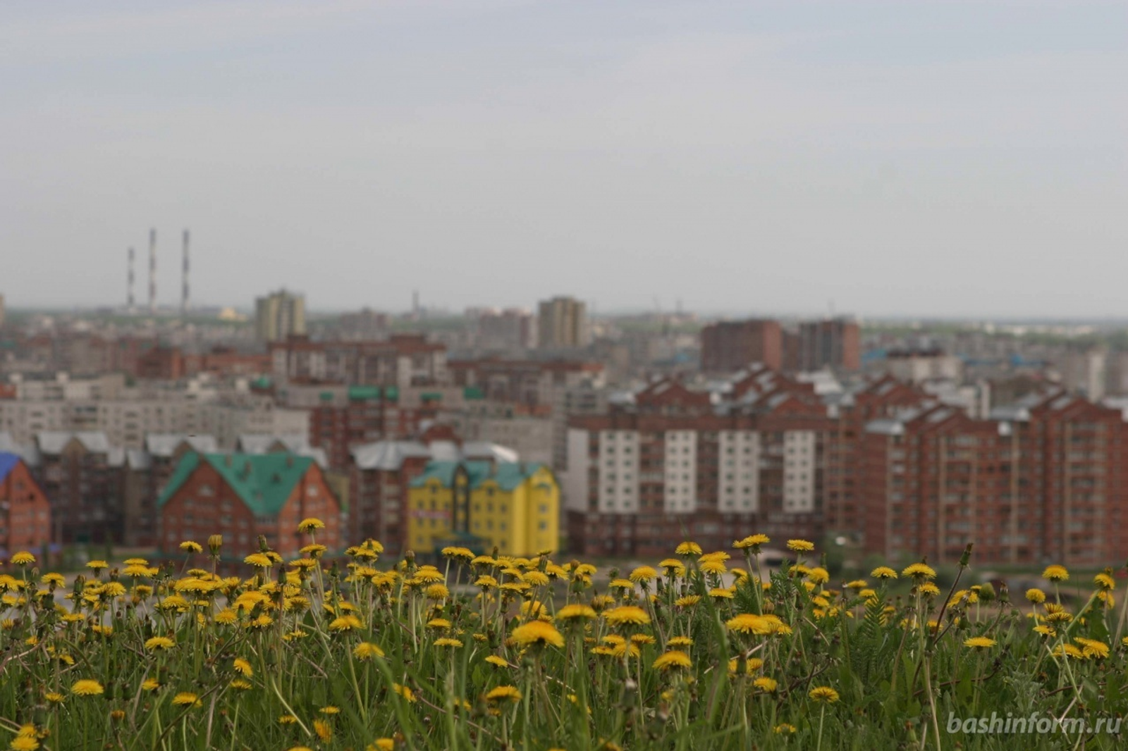 Андрей Старостин