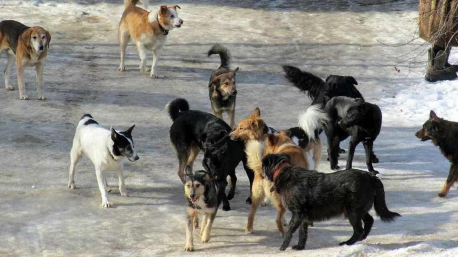 ИА «Башинформ»