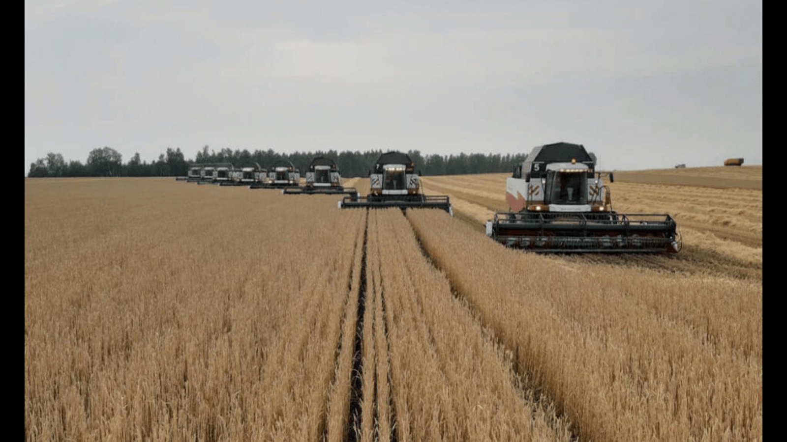 пресс-служба Минсельхоза Башкирии