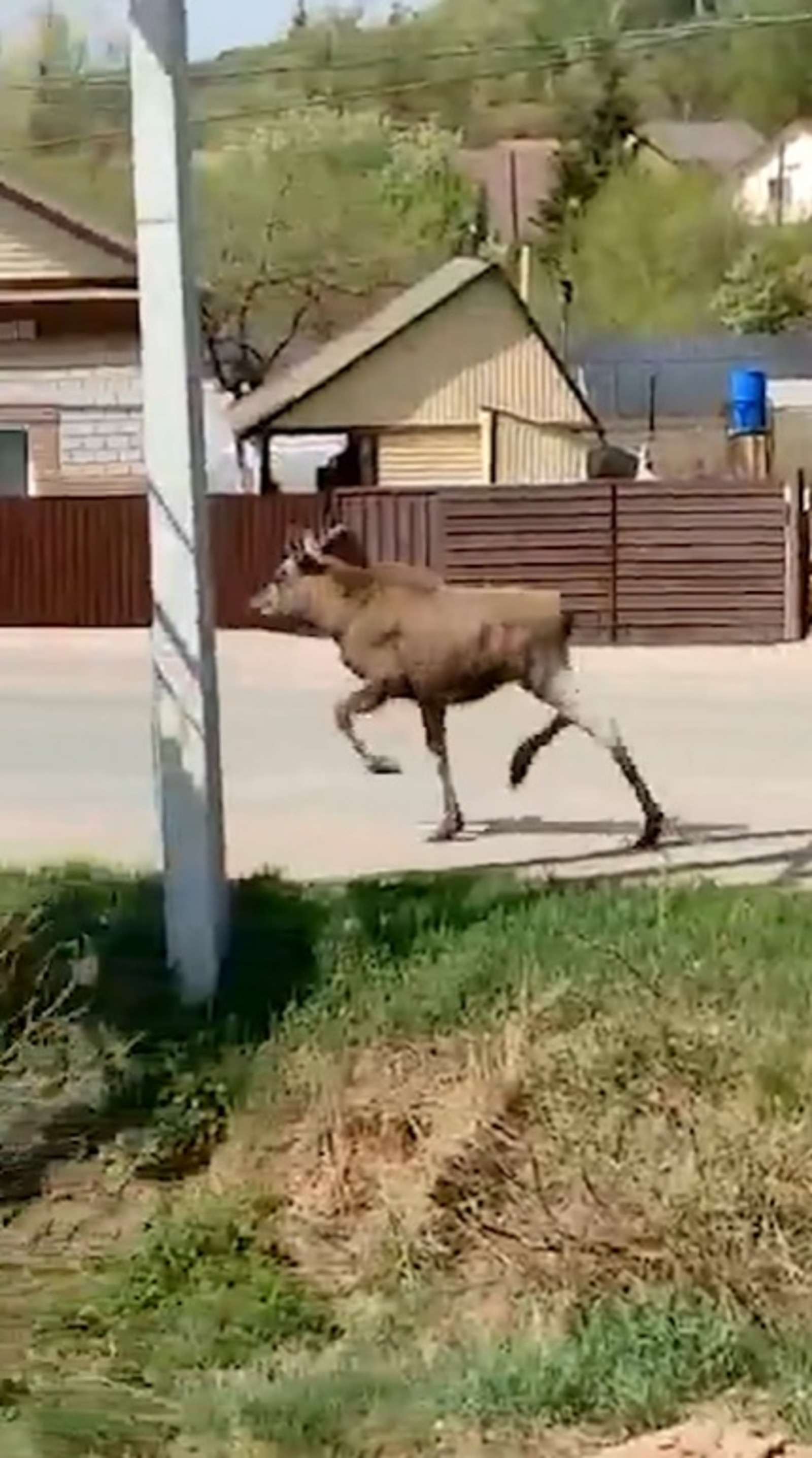 скриншот  видео