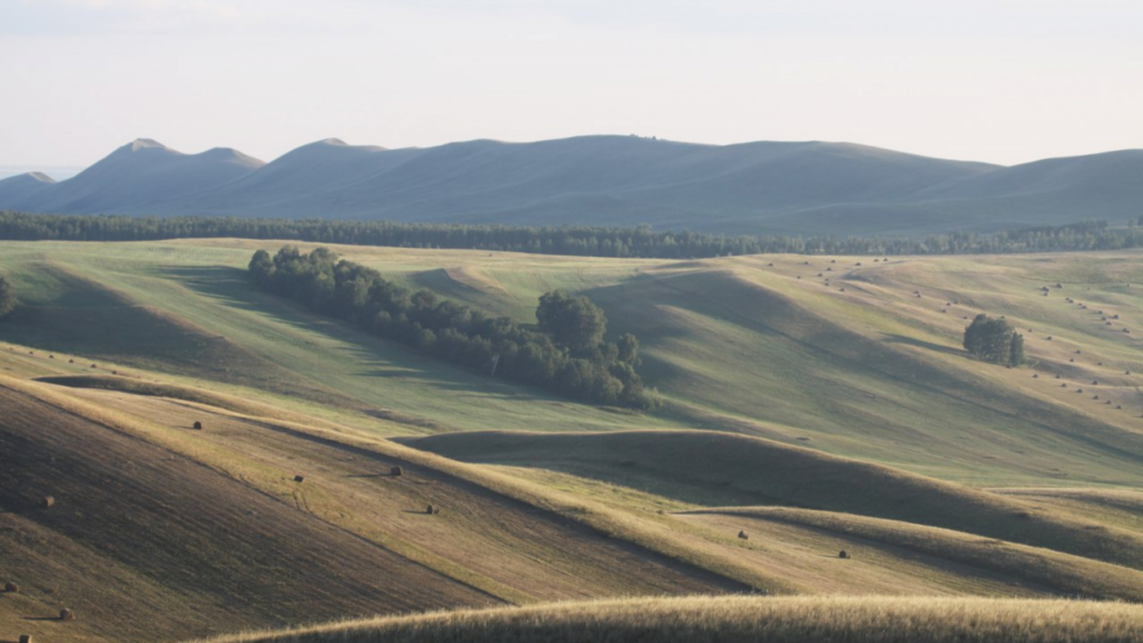 Полина Полежанкина