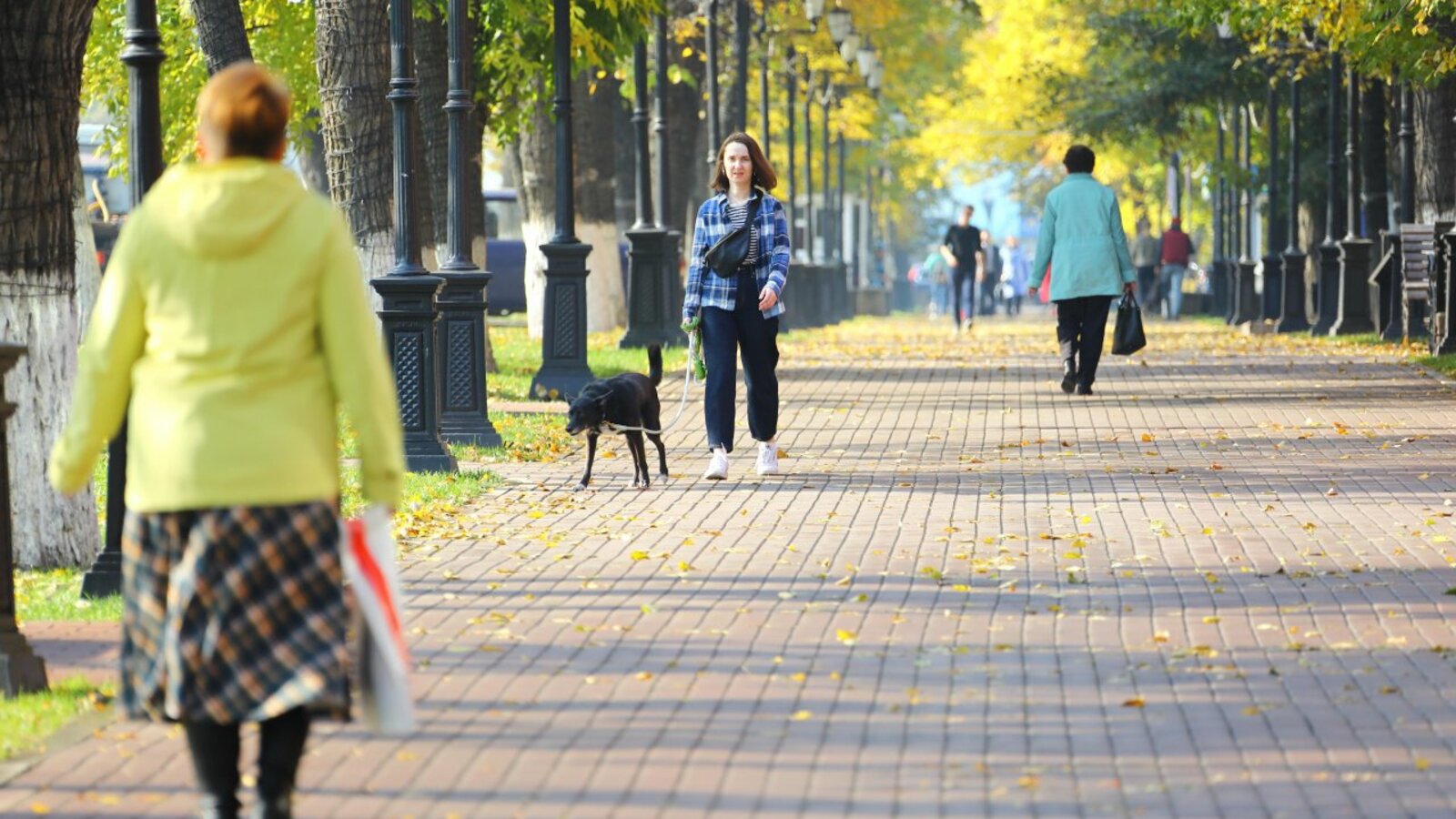 Валерий Шахов