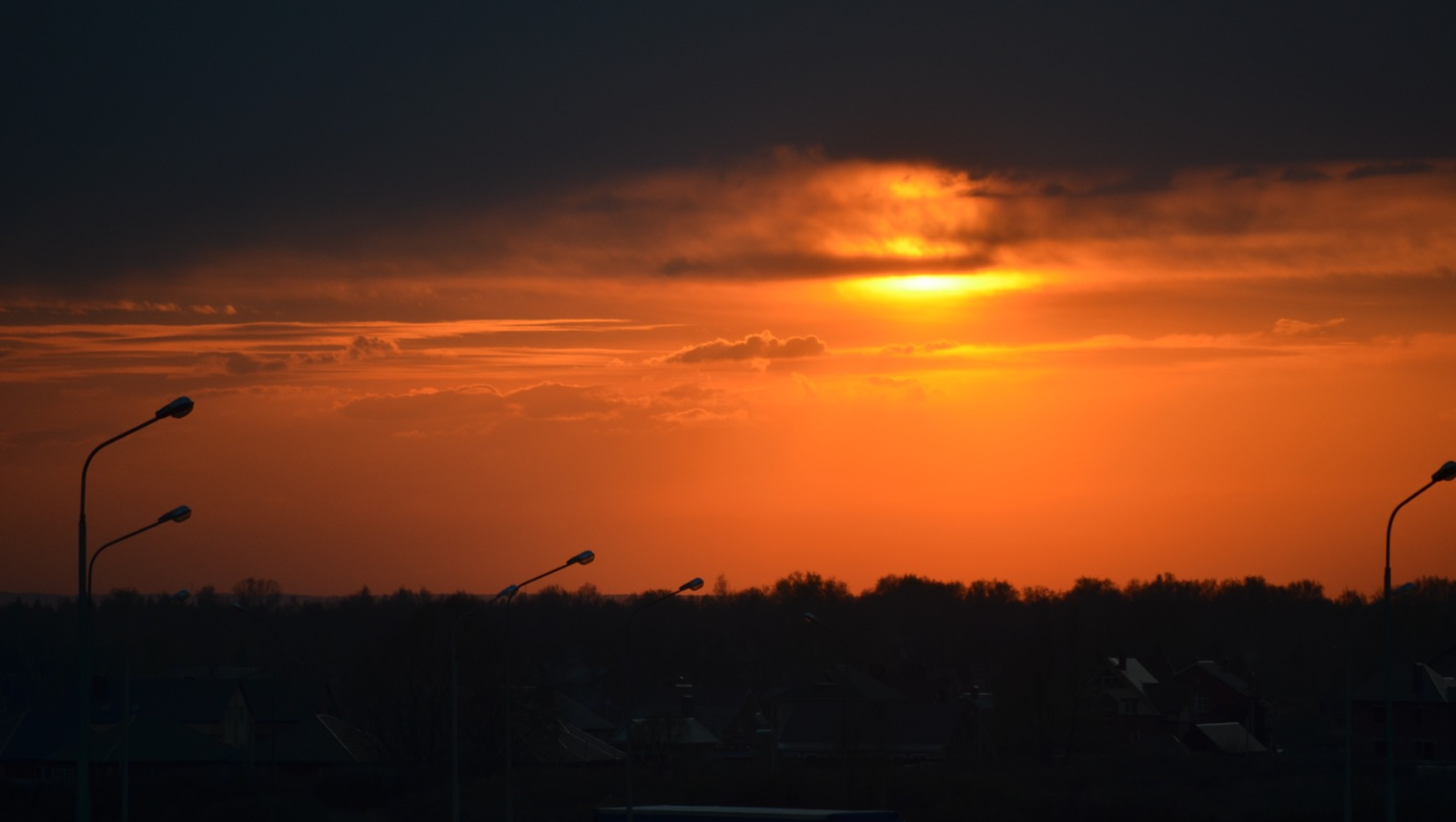 Ксения Калинина, архив