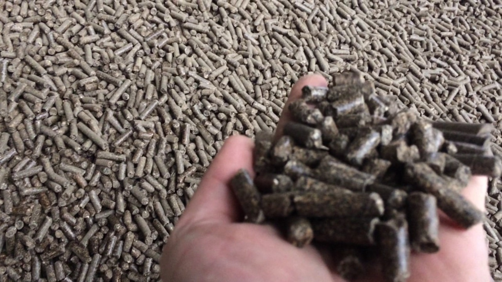 пресс-служба управления Россельхознадзора по РБ