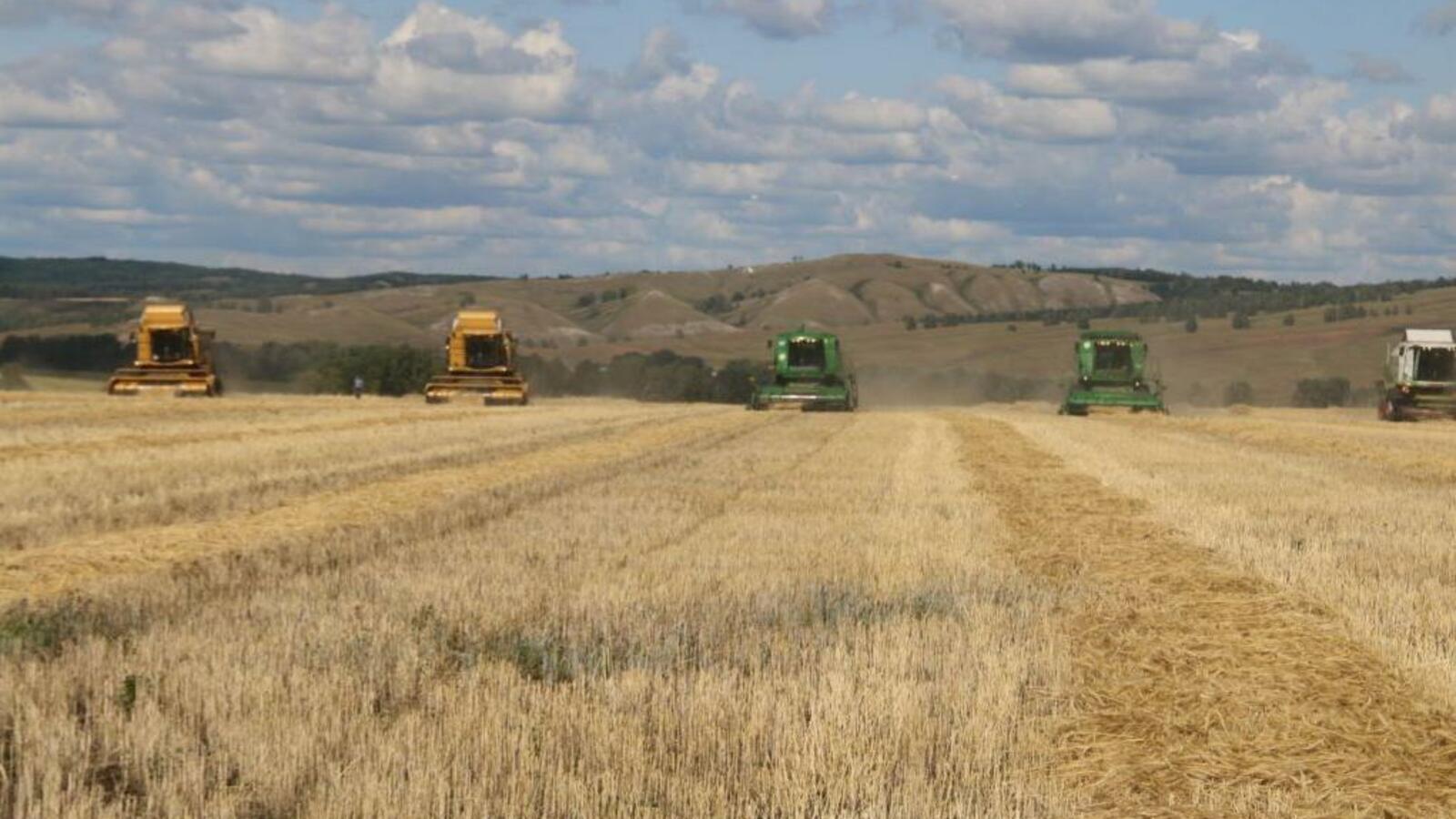 Минсельхоз РБ